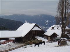 Foto aus Südtirol